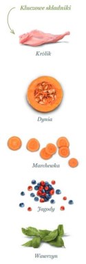 Amanova Dog Adult Digestive Divine Rabbit - królik 2kg