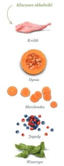 Amanova Dog Puppy Digestive Divine Rabbit - królik 7kg