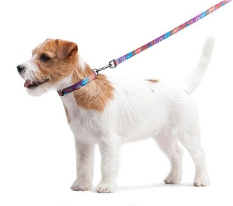 Collar WauDog Nylon Obroża nylonowa z QR-paszportem, plastikowy fastex, wzór LATO, 25mm/37-58cm