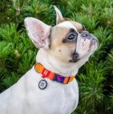 Collar WauDog Recycled Obroża nylonowa z QR-paszportem, gradient M 20mm x 28-40cm pomarańczowy