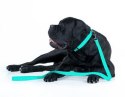 Collar WauDog Waterproof Smycz wodoodporna akumulująca światło M 20mm/183cm