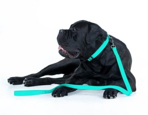 Collar WauDog Waterproof Smycz wodoodporna akumulująca światło M 20mm/183cm