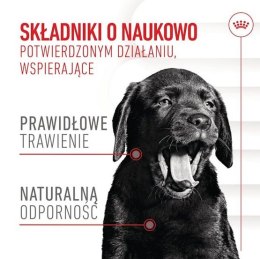 Royal Canin Immunity & Digestion Chews Puppy Supplements 100g