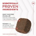 Royal Canin Joint & Ageing Chews Adult Supplements 240g