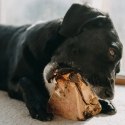 4DOGS Gryzak z korzenia drzewa wrzosowego XL