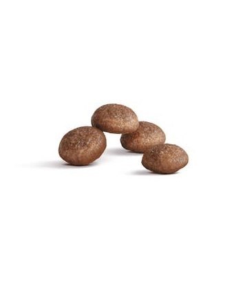 Royal Canin Ageing +11 karma sucha dla kotów dojrzałych 400g