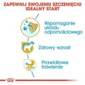 Royal Canin Jack Russell Terrier Puppy karma sucha dla szczeniąt do 10 miesiąca, rasy jack russell terrier 1,5kg