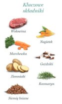 Amanova Dog Adult Irresistible Beef - wołowina saszetka 100g [P02]