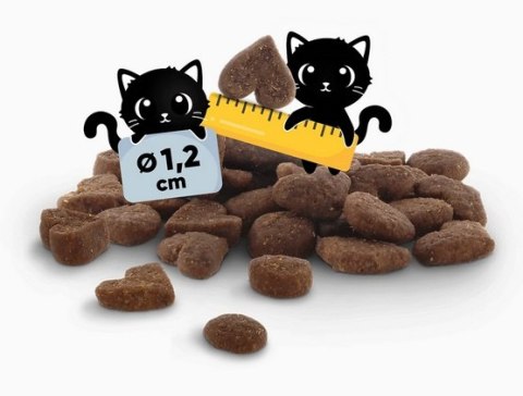 Lucky Lou Food Code Lifestage Adult Drób & Kurczak 1,7kg